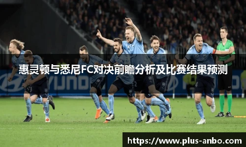 惠灵顿与悉尼FC对决前瞻分析及比赛结果预测